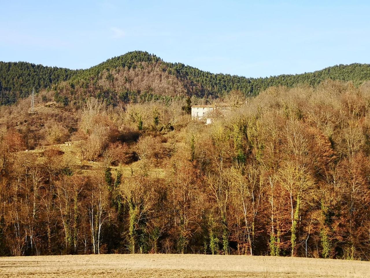 Allotjaments Rurals Punti Farm stay