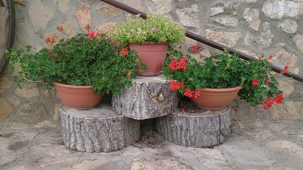 Masadas Country house *