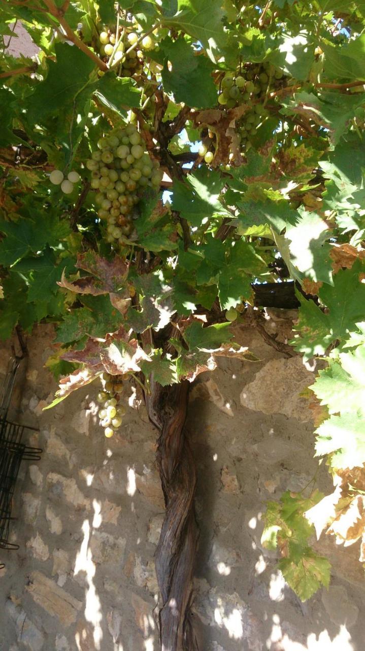 Country house Masadas Cella