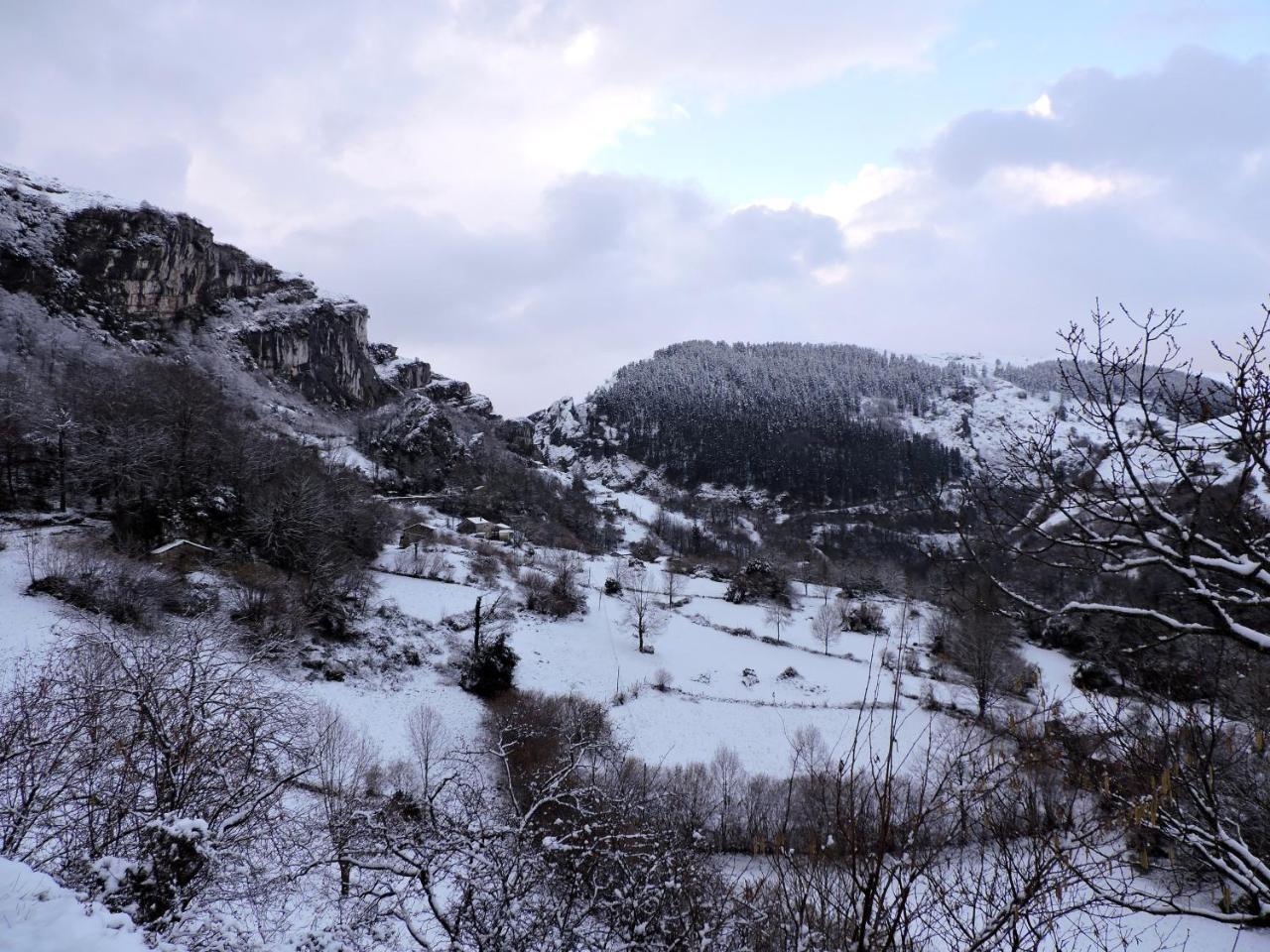 La Hirririá. *