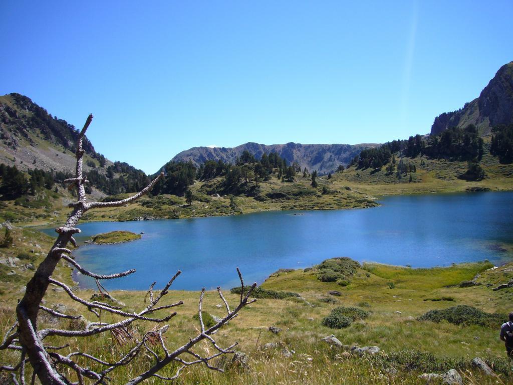 Ribaeta