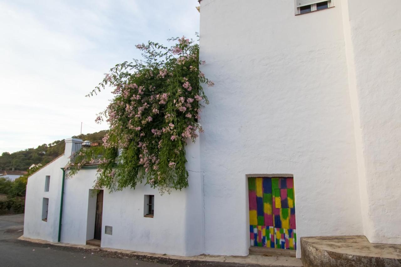 Casa rural La Rana Verde Casa Rural *