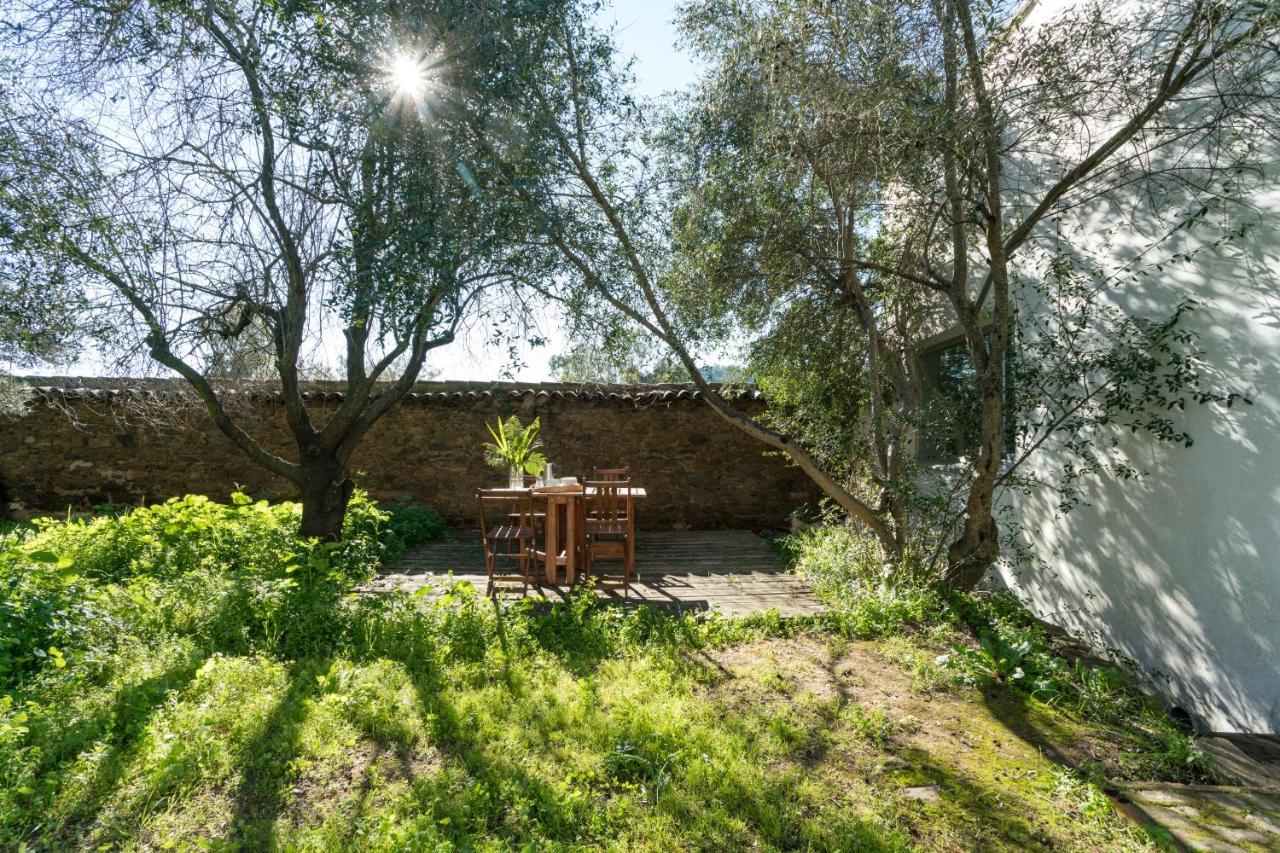 Casa rural Casa De Olivos