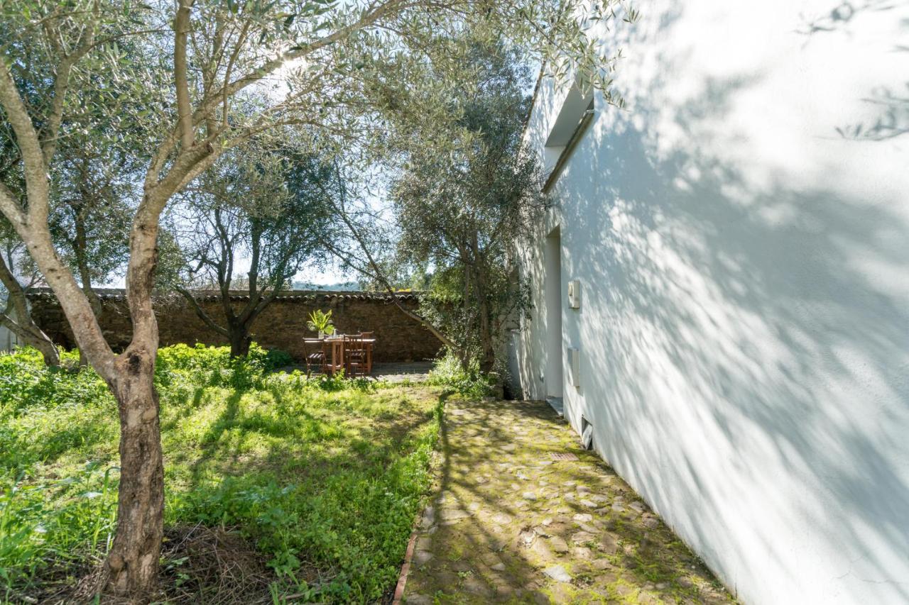 Casa De Olivos Casa rural