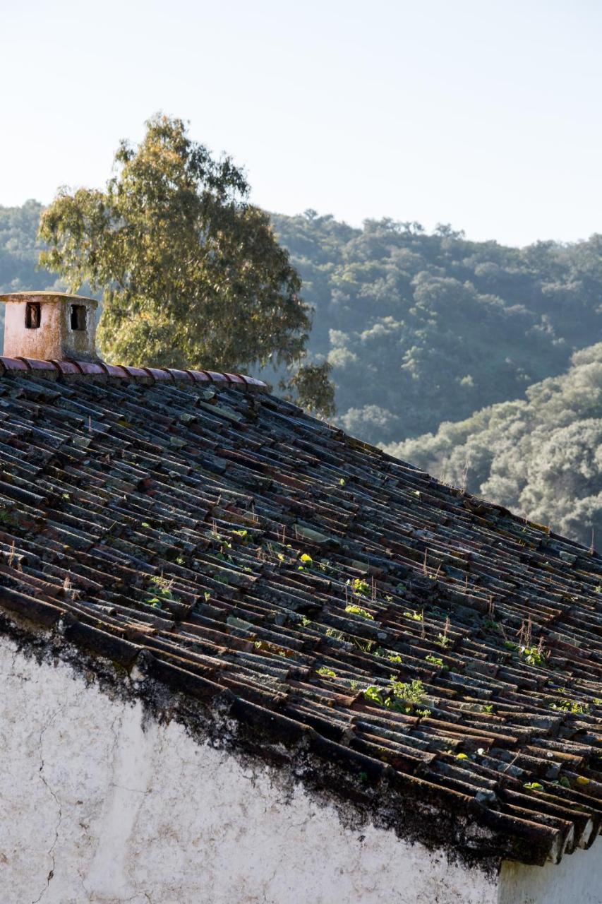 Casa De Olivos Puerto de la Laja