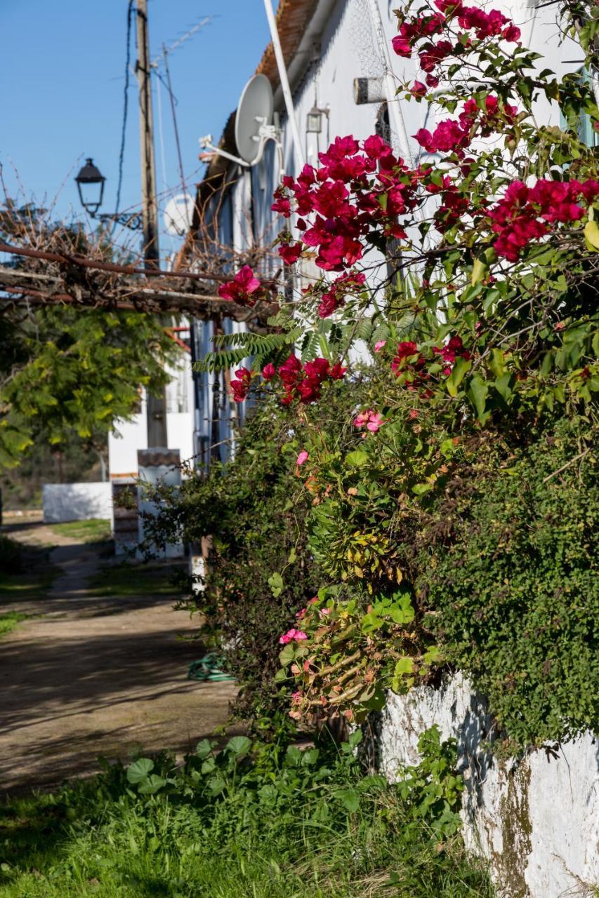 Casa De Olivos Casa rural