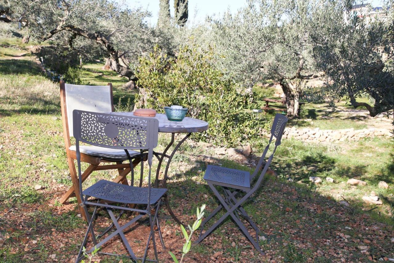 Campo de lujo Yurta Mongola Delta Del Ebro