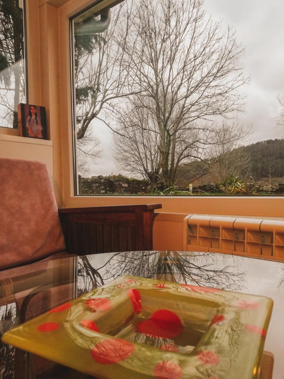Apartamento La Ventanita Del Campo *