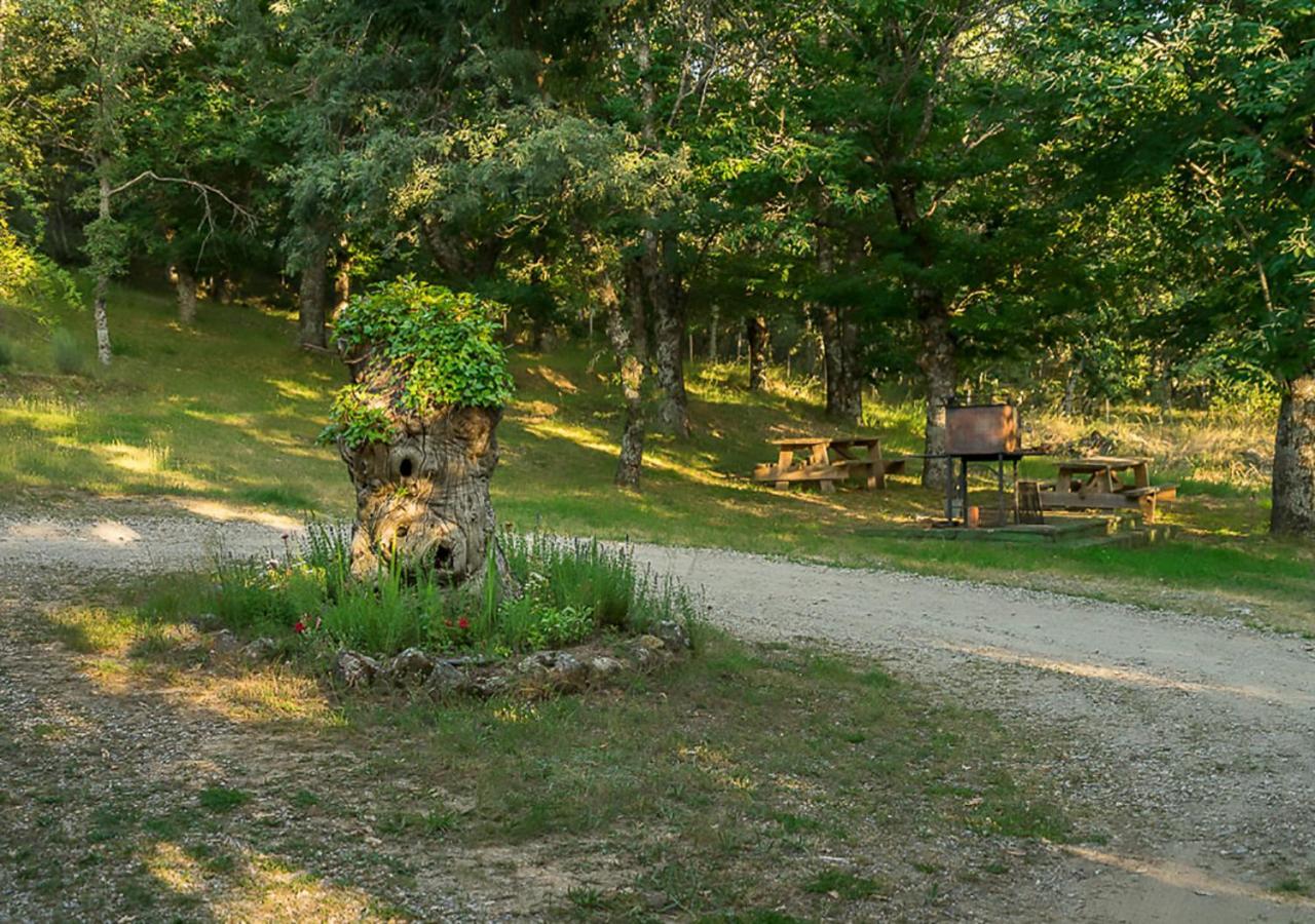 De Madera Sanabria Vigo de Sanabria
