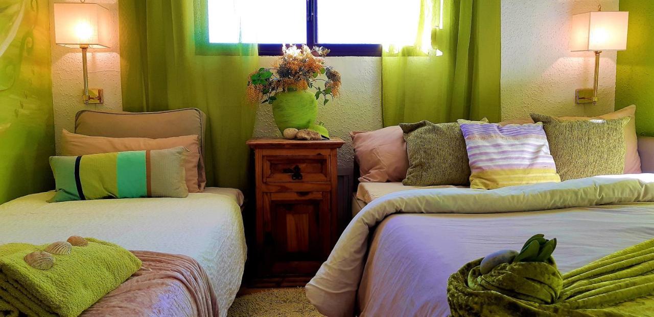 Bed and breakfast Ashram Sunshine