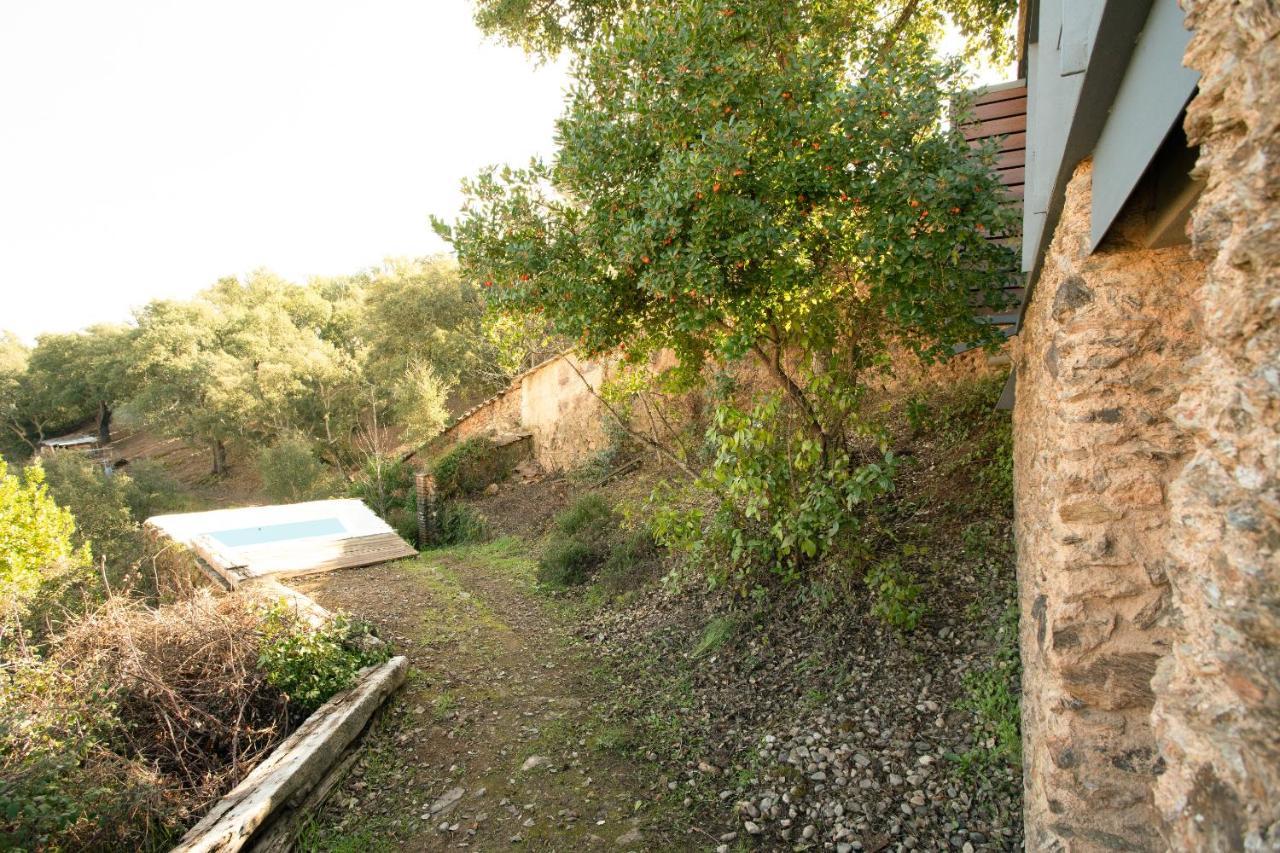 El Risco Del Lomero Holiday home