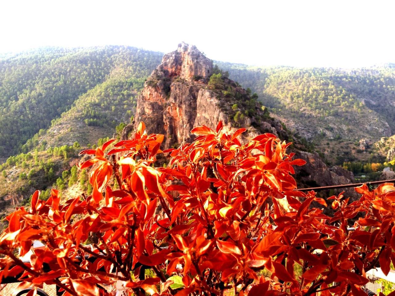 Miralmundo Rurales - Rural Pensión Ayna