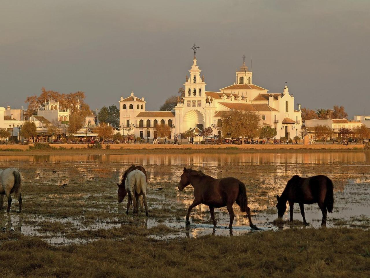 Rural Flamingo El Rocio