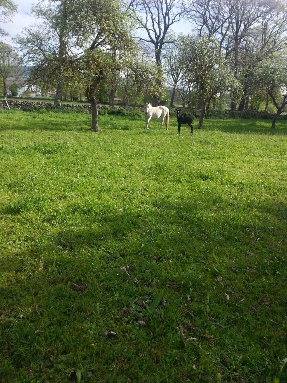Country house El Cajigal De Quintana