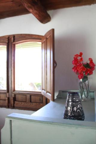 Del Castano Guest house Castano de Robledo