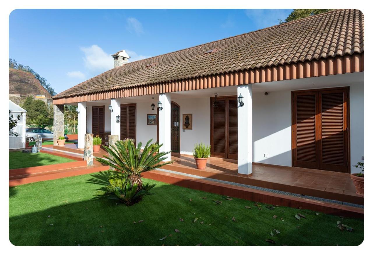 Live Naranjeros Villa Tacoronte