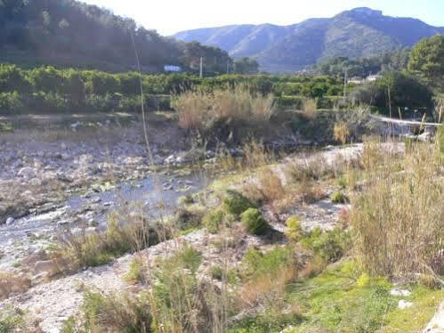 Finca Los Pinos Rural *