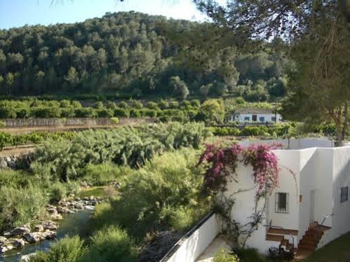 Finca Los Pinos Rural * Ròtova