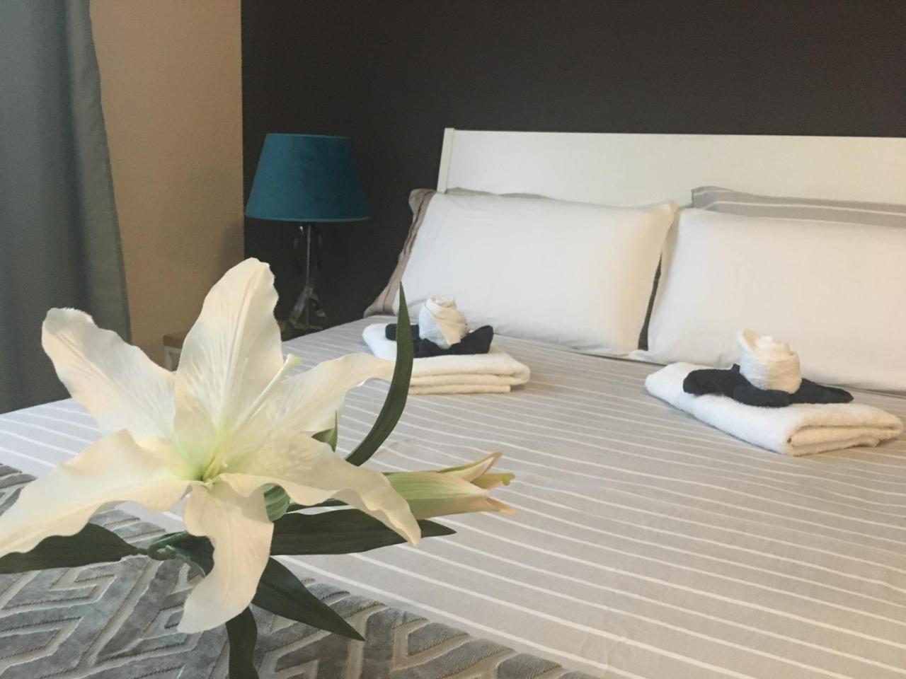 Dream Comfy Apartment La Laguna (Tenerife)
