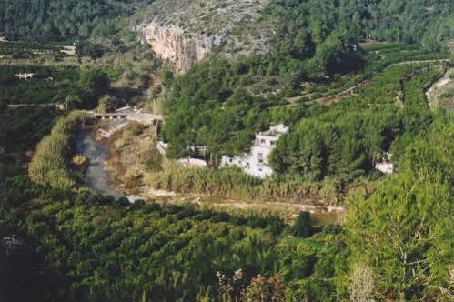 Finca Los Pinos Rural
