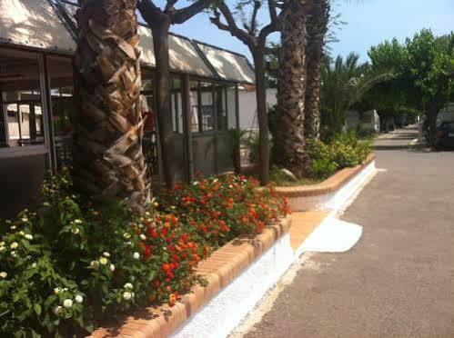 Tauro Benicassim