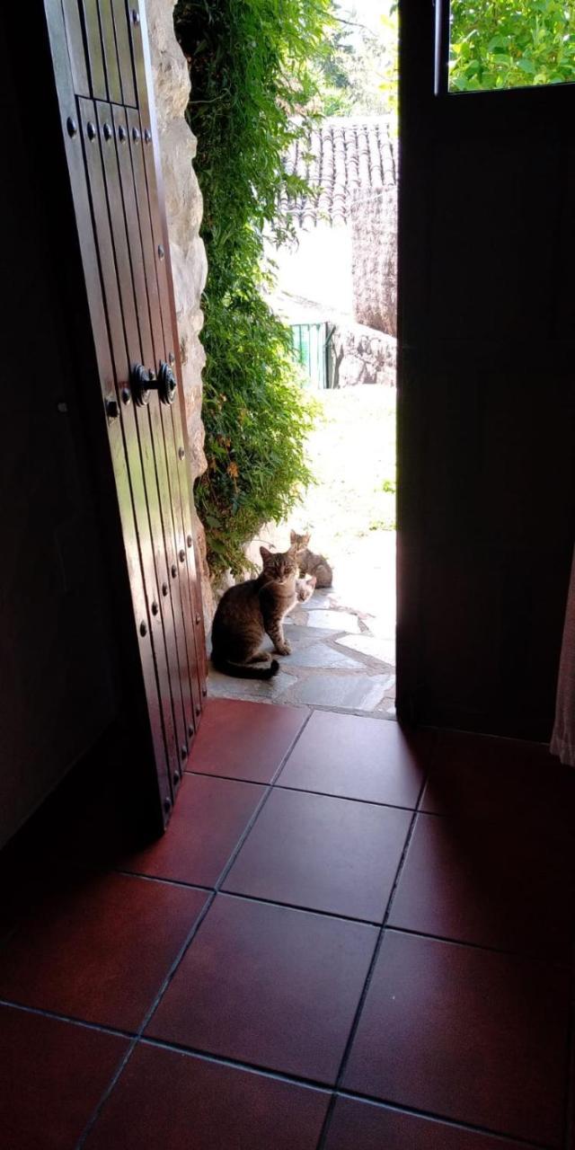 Casa Nani * Benaocaz
