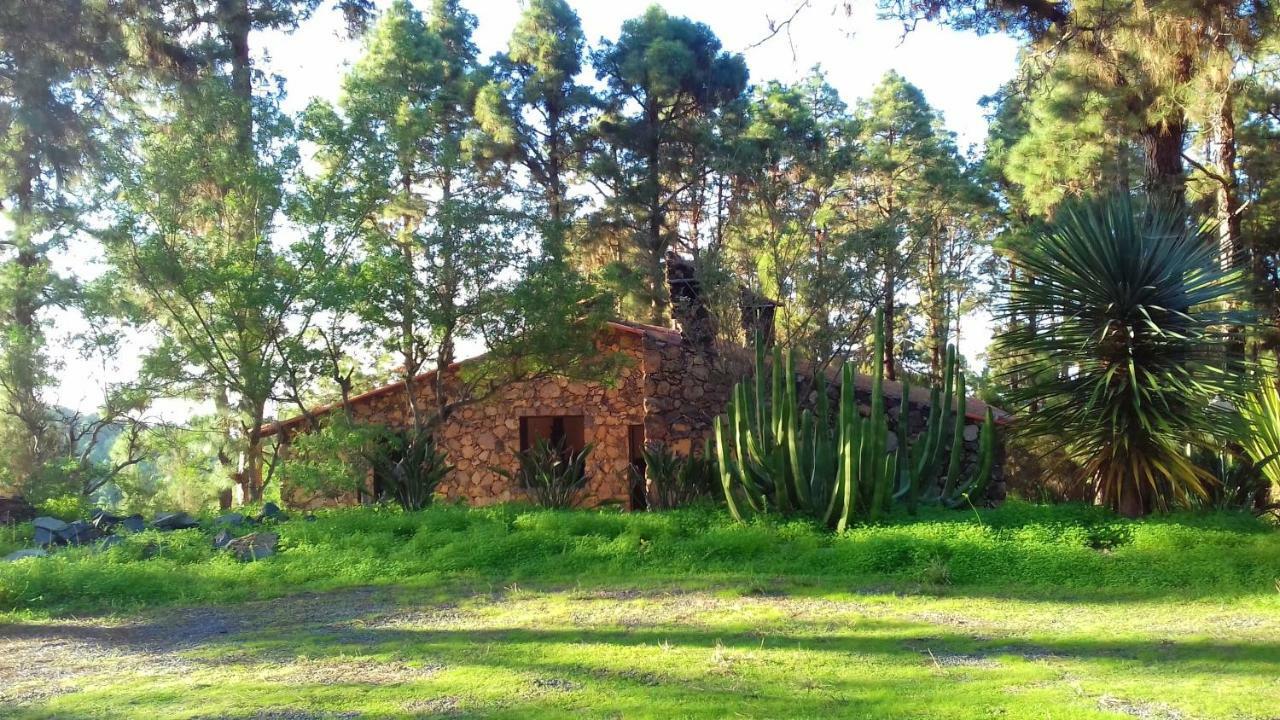 Monte Frio De Tenerife Casa rural *