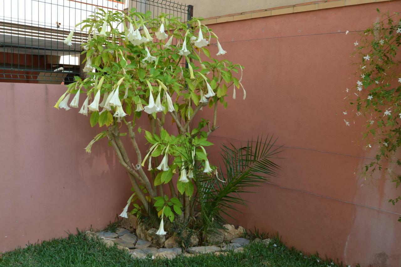 Apartamento Molino De Viento Apartamento Fuengirola