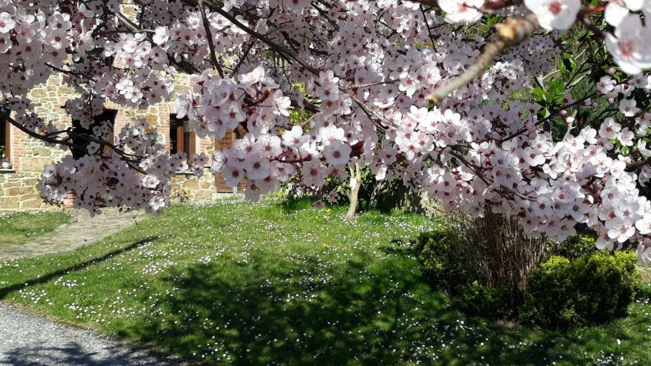 Casa La Escuela * Tuilla