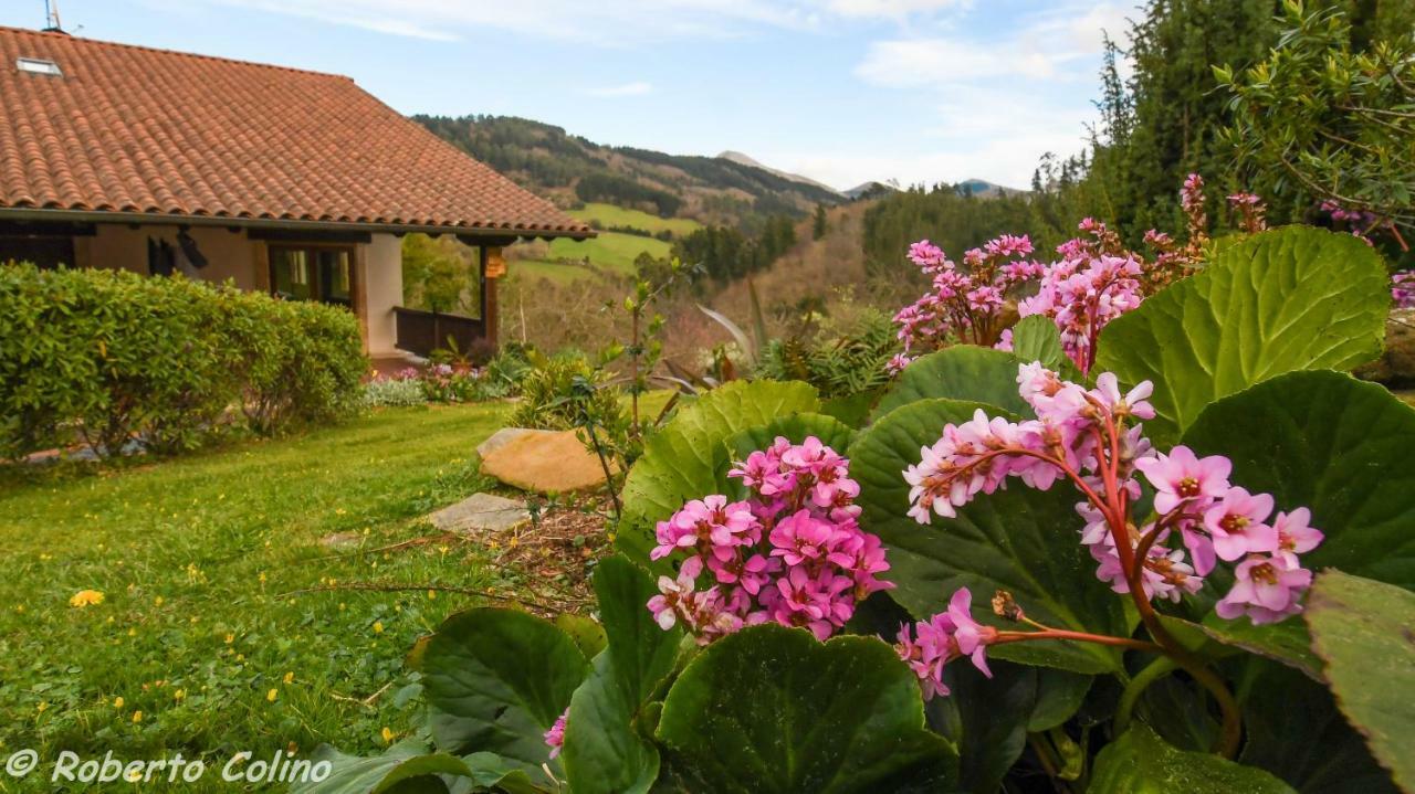 Artesoro Baserria Holiday home *