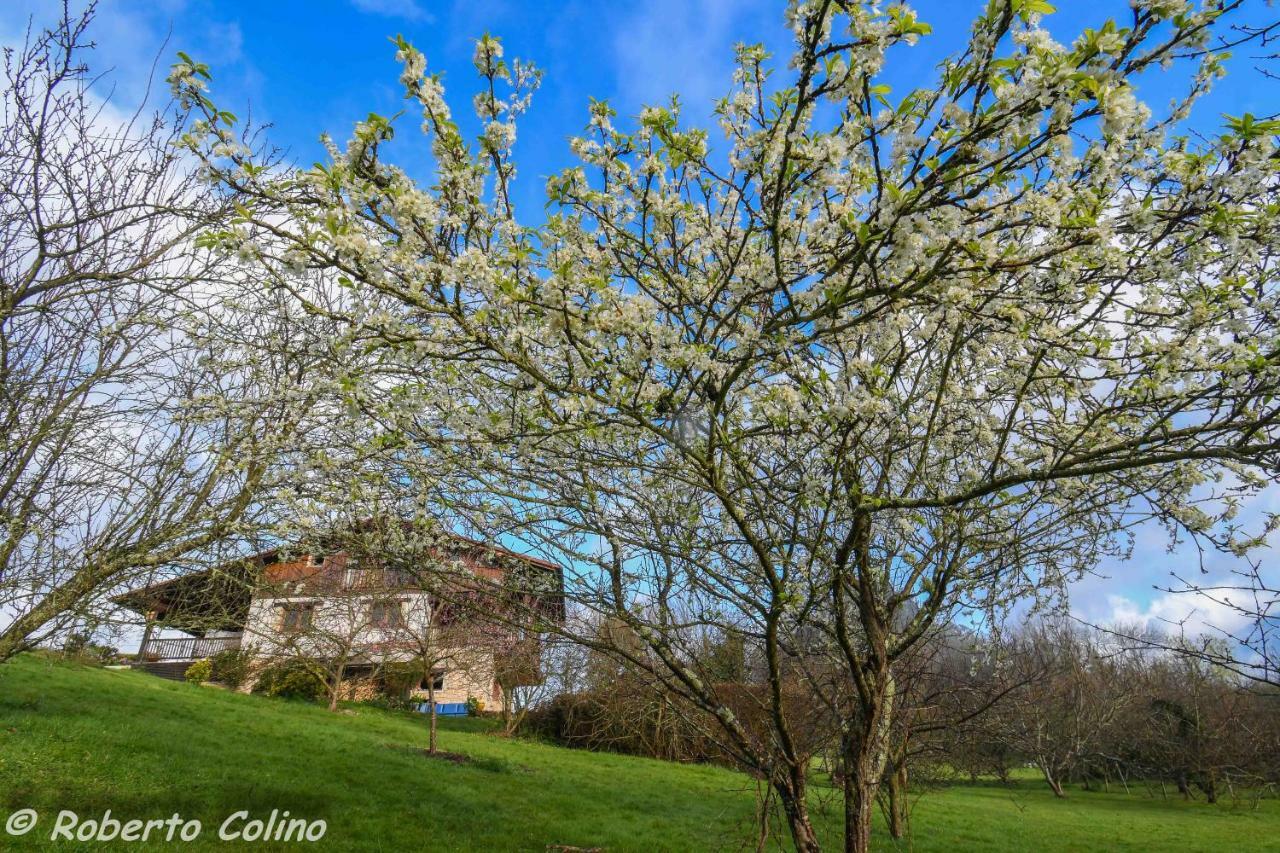 Artesoro Baserria Holiday home
