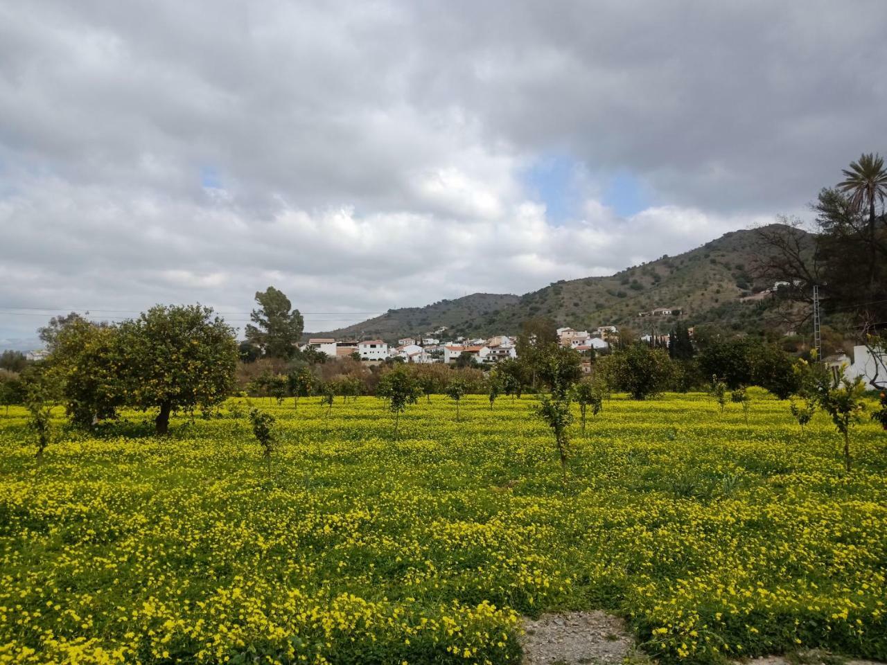El Cielo Azul Álora