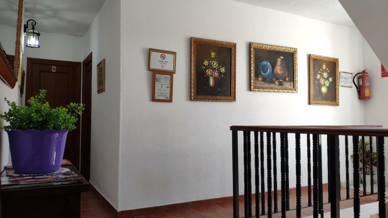 Guest house La Luna *