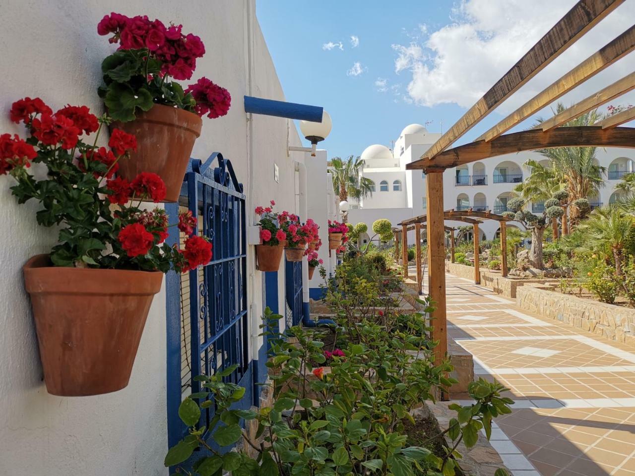 Hotel El Puntazo I (adults Only)