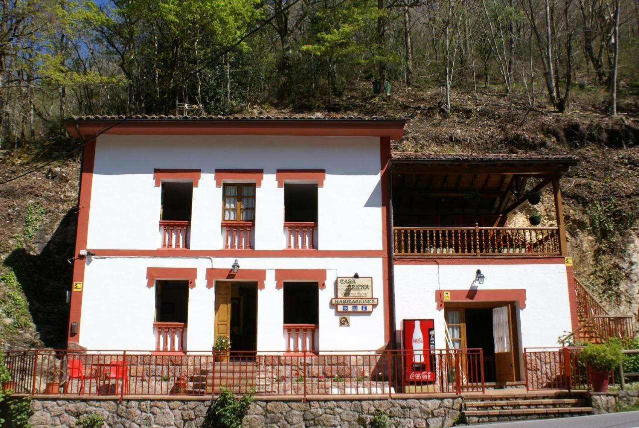 Hotel Priena 2*