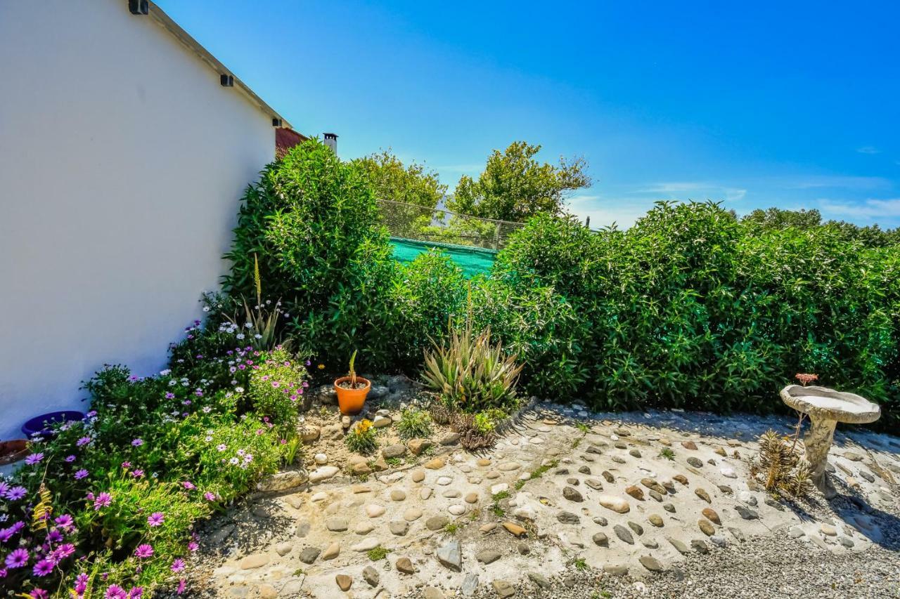 Cubo's Finca The Orange Tree