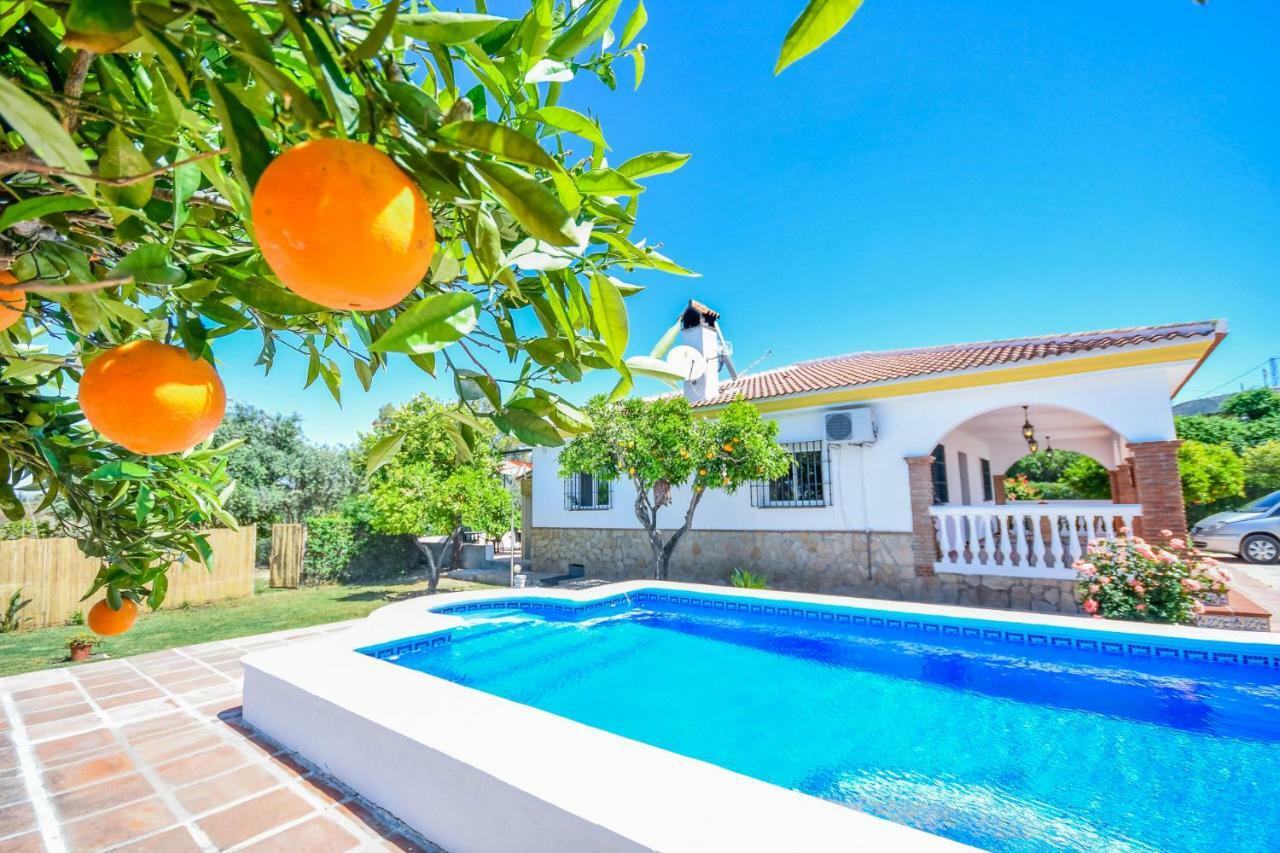 Cubo's Finca The Orange Tree Cártama