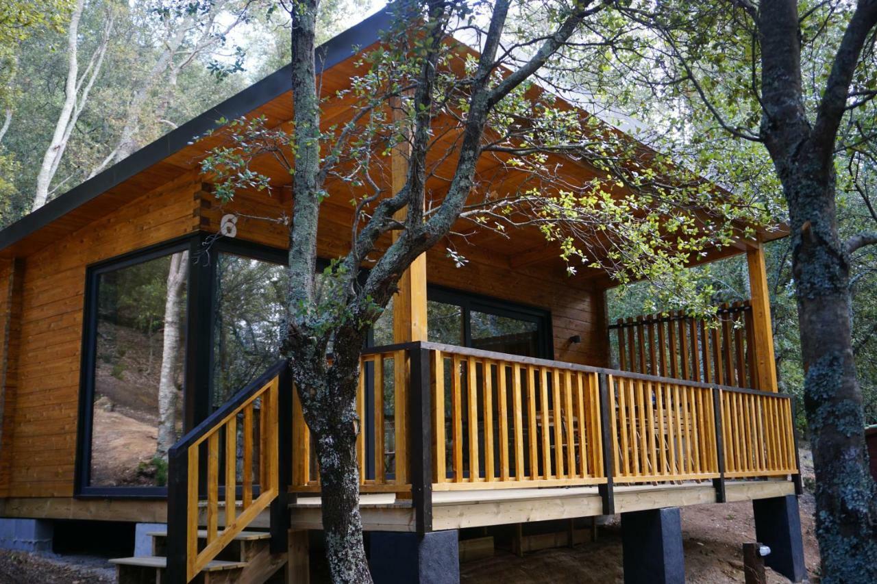 Campsite Camping Macanet De Cabrenys Macanet De Cabrenys