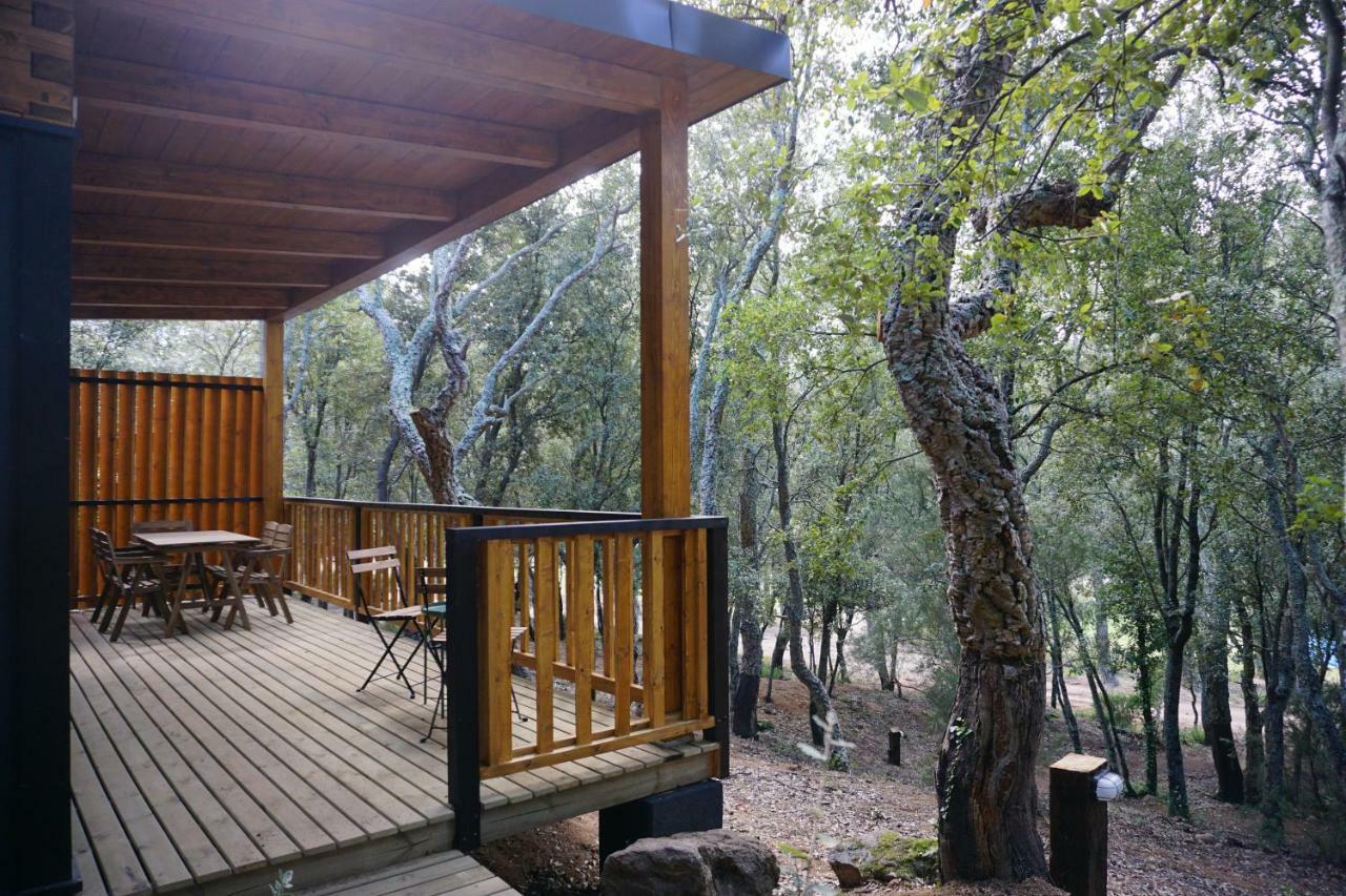 Campsite Camping Macanet De Cabrenys Macanet De Cabrenys