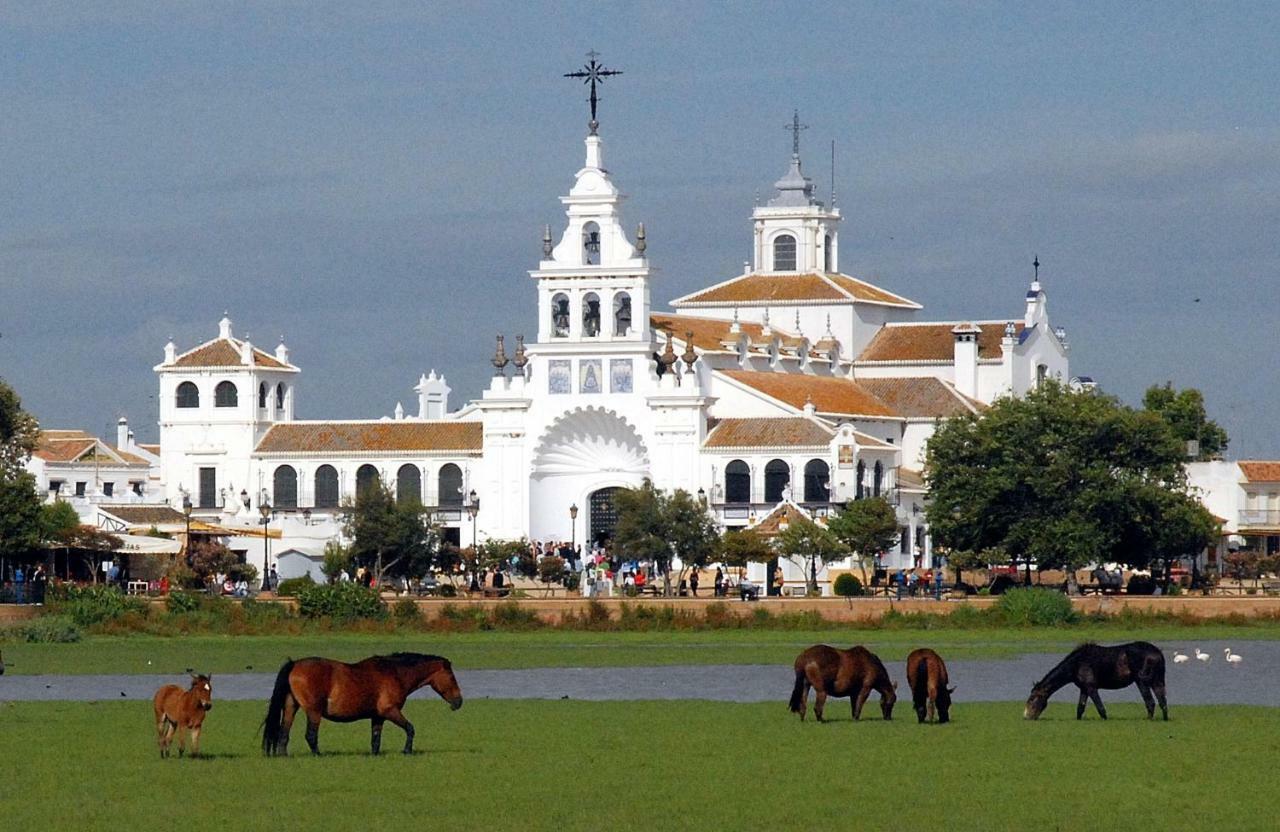 Rural Flamingo Country house *