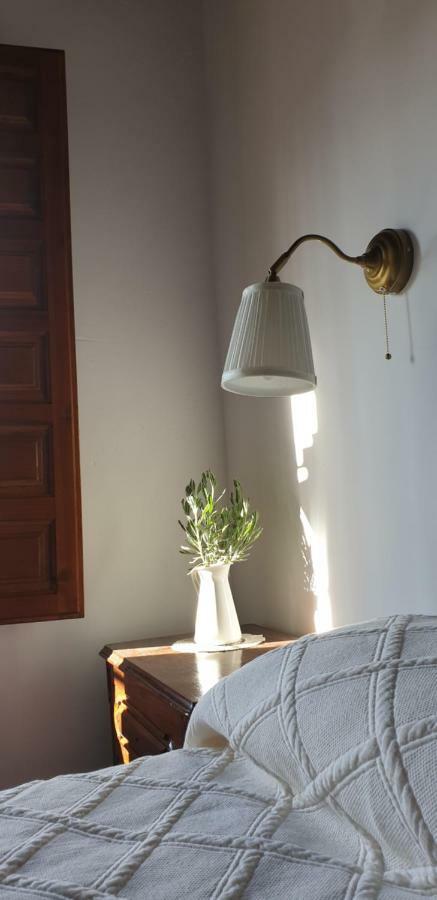 Aljibe Del Albayzin Apartment