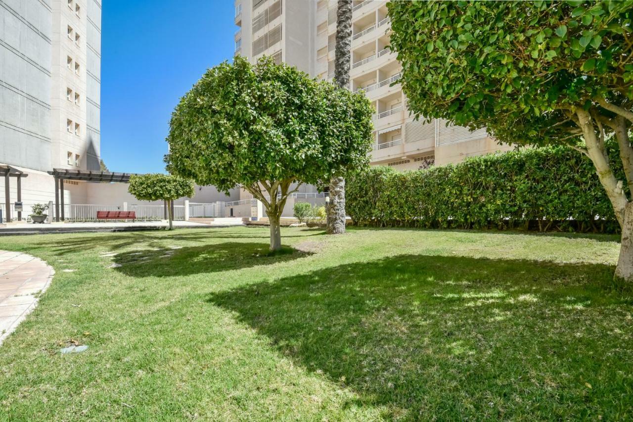 Flats Friends Apolo Xvi-xvii Calpe