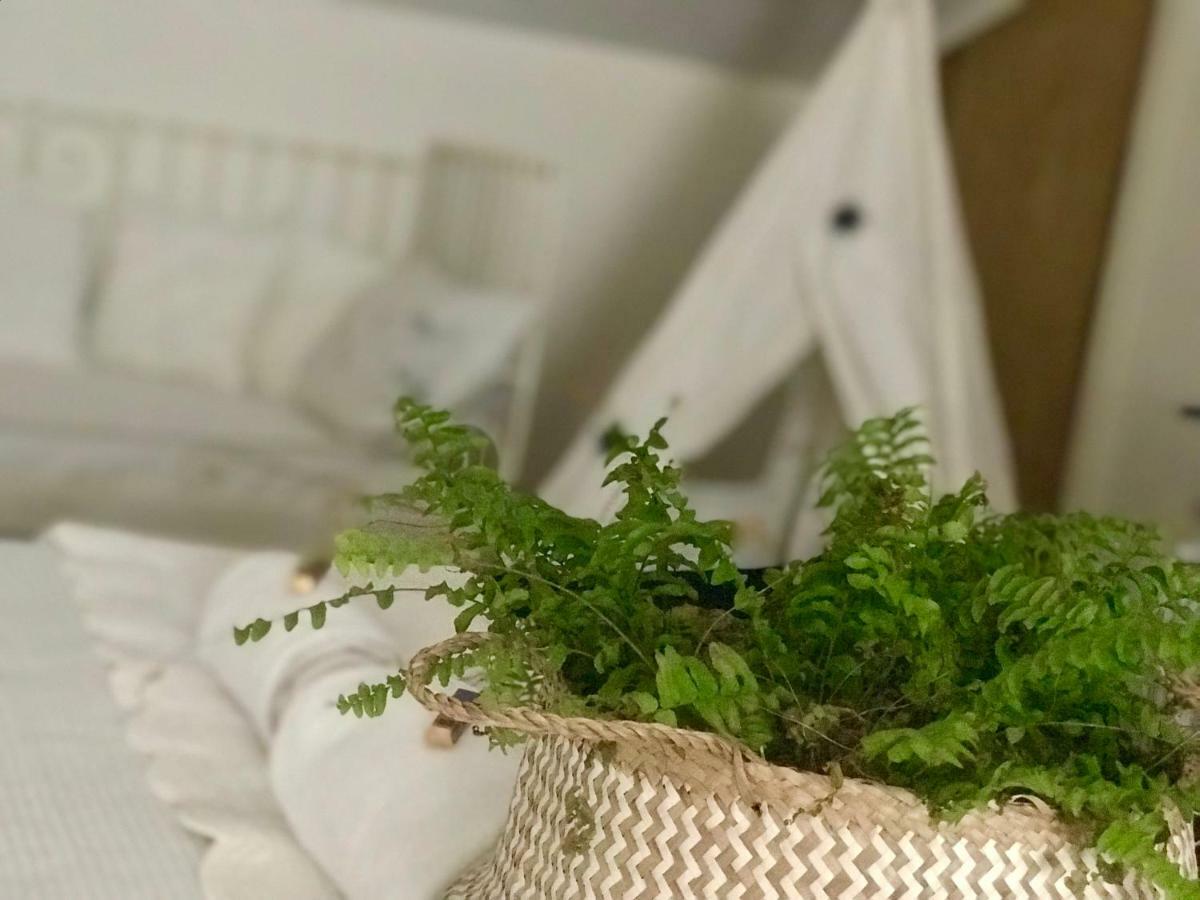 Guest house Casa Ruy Lopez Zafra
