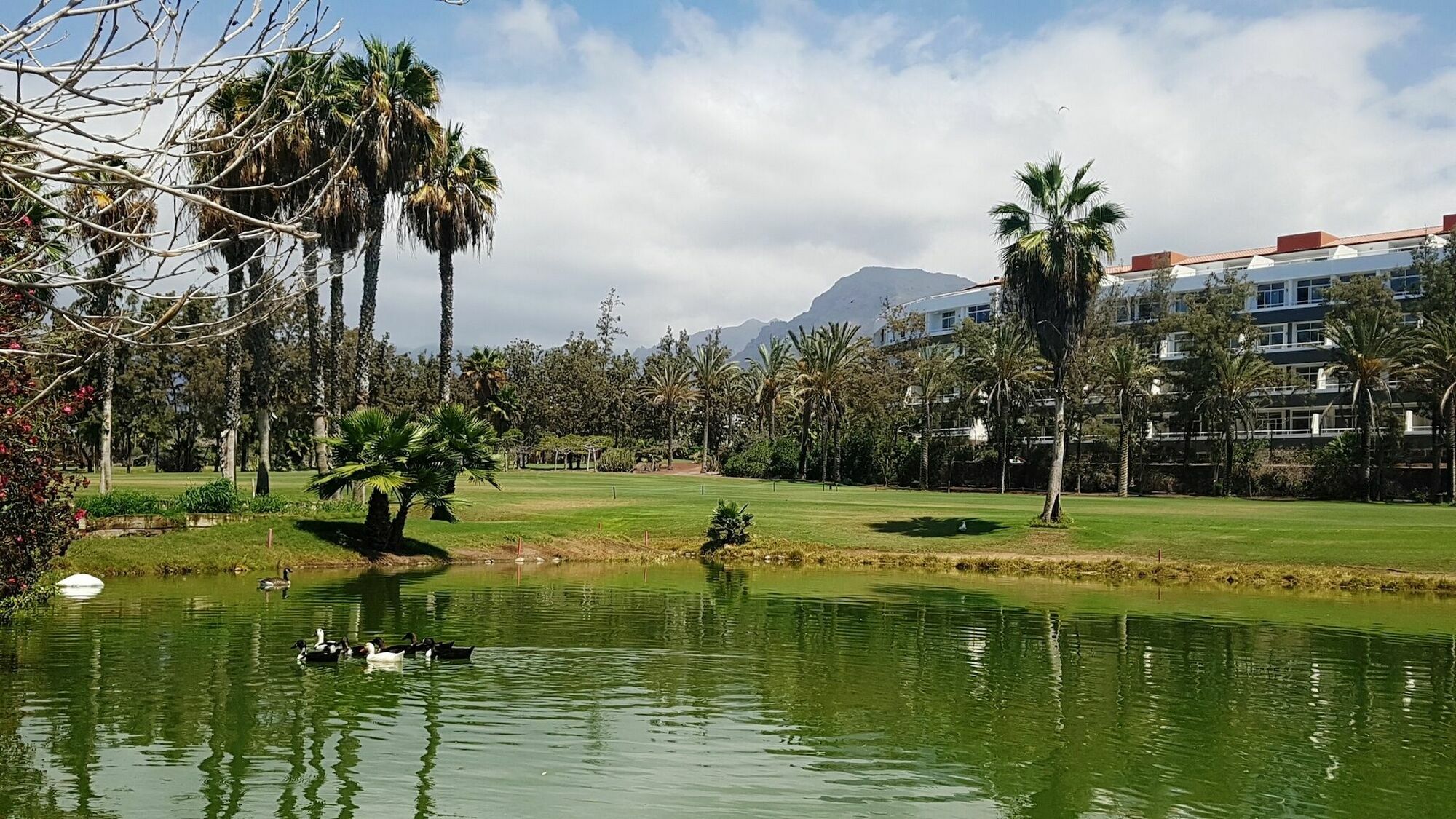 Gara Golf&spa Playa de las Américas