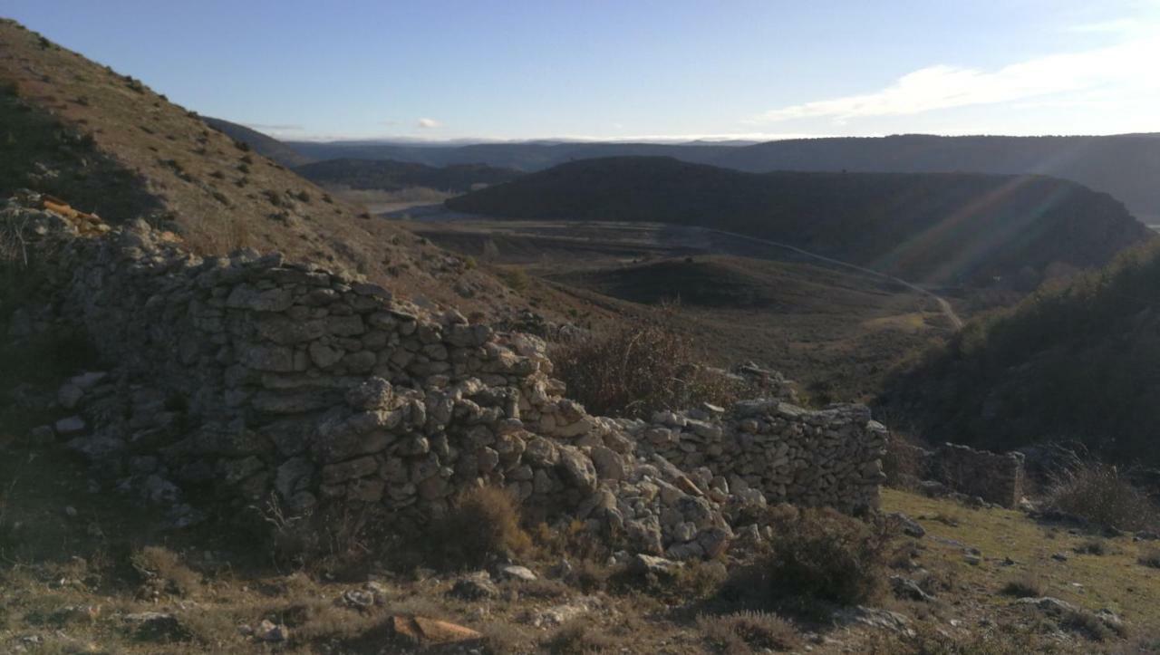 Proyecto Natura