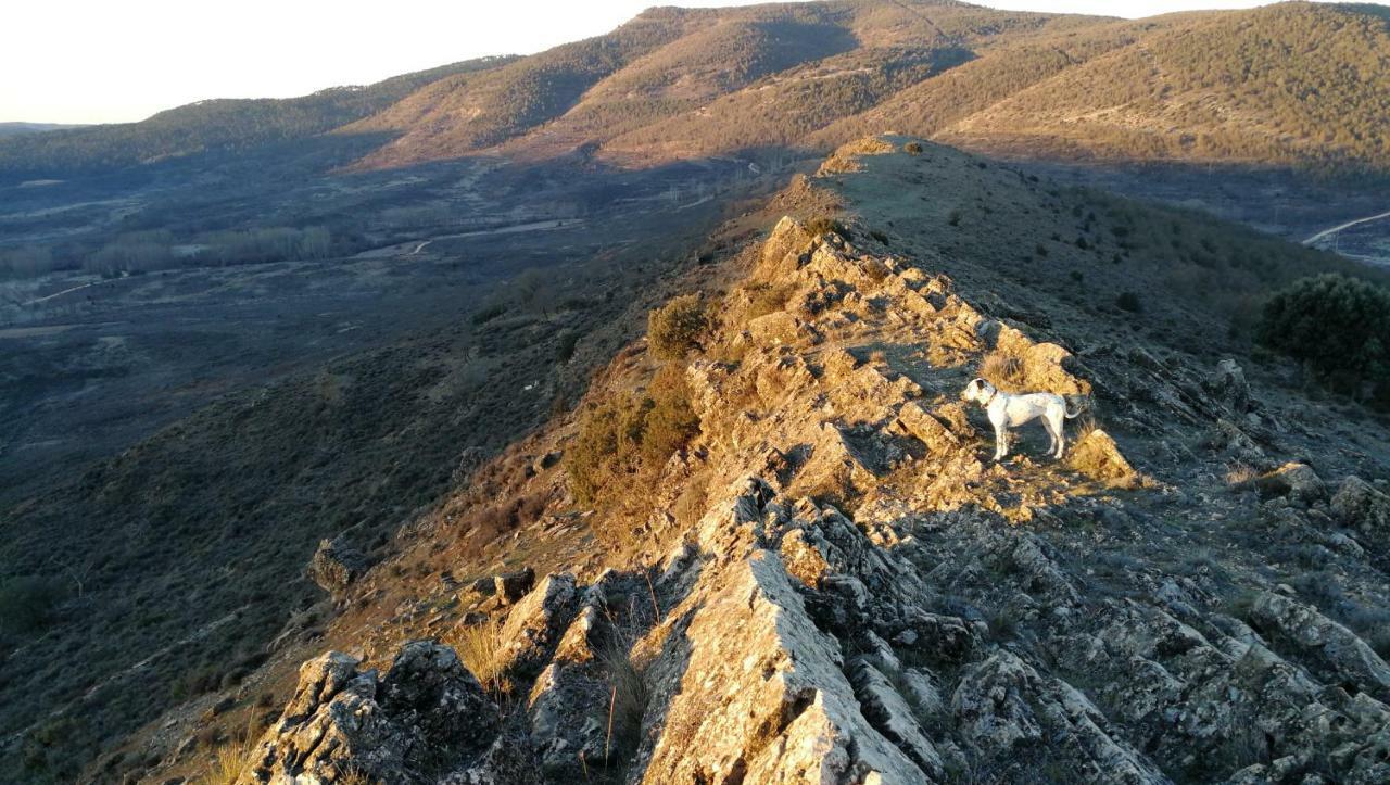 Pensión Proyecto Natura *