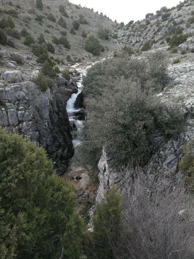 Proyecto Natura