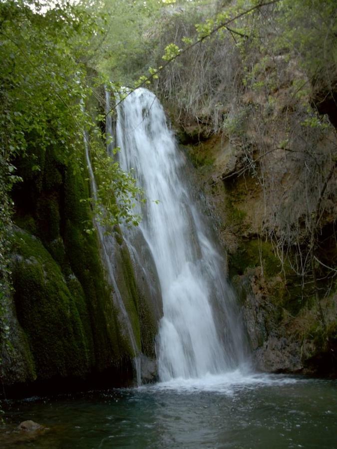 Proyecto Natura