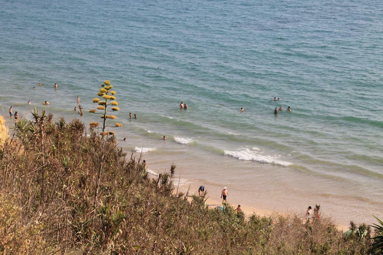 Cerca De La Playa Apartamento Conil De La Frontera