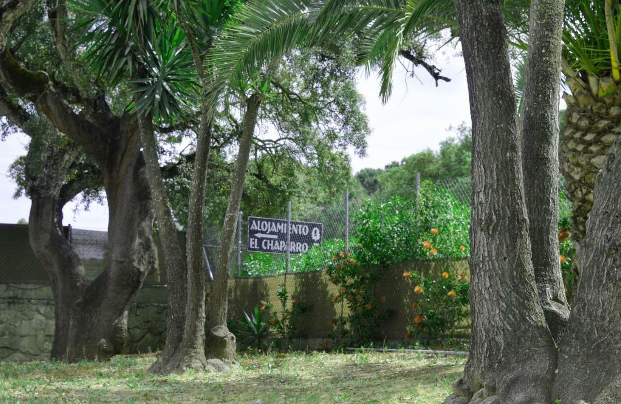 Alojamiento El Chaparro Country house Barbate